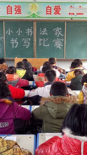 小学休学申请书(推荐10篇) 