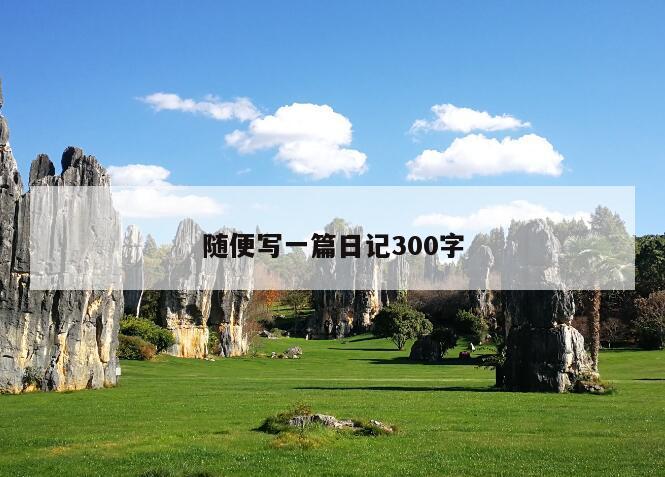 随便写一篇日记300字