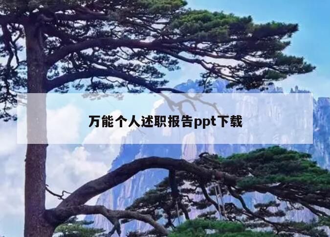 万能个人述职报告ppt下载