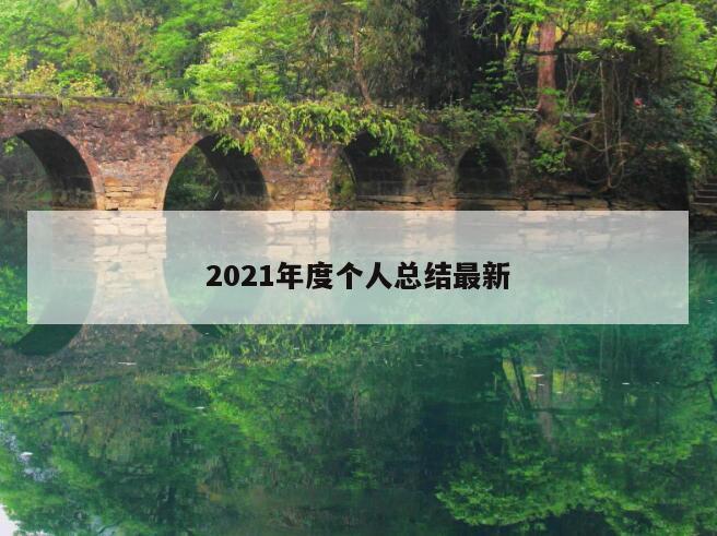 2021年度个人总结最新