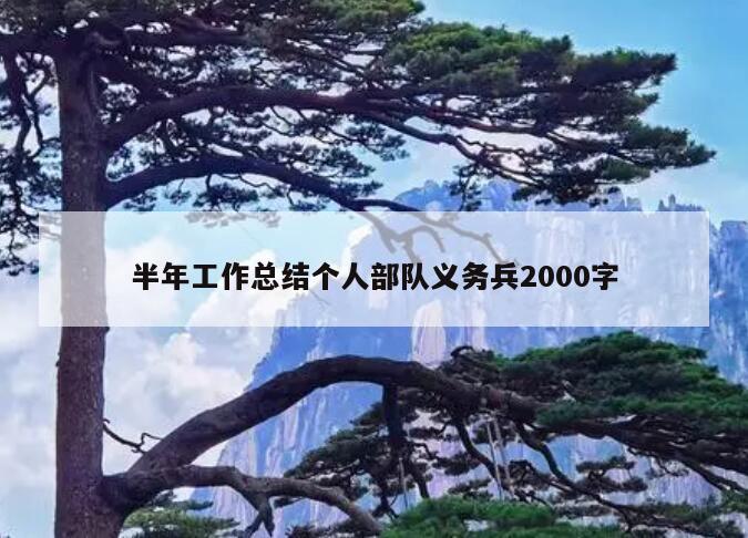 半年工作总结个人部队义务兵2000字